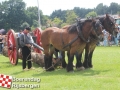 20150806boerendagrijsbergen175