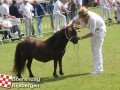 20150806boerendagrijsbergen213