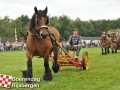 20100807boerendagrijsbergen149