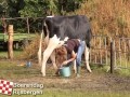 20120803boerendagrijsbergen124