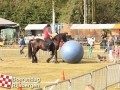 20120803boerendagrijsbergen161