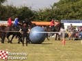 20120803boerendagrijsbergen171