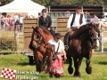 20120803boerendagrijsbergen210