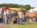 20120803boerendagrijsbergen214