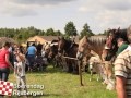 20120803boerendagrijsbergen218