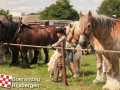 20120803boerendagrijsbergen220