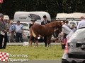 20120803boerendagrijsbergen226