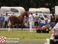 20120803boerendagrijsbergen227