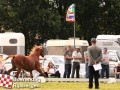 20120803boerendagrijsbergen231