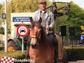 20120803boerendagrijsbergen232