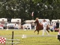 20120803boerendagrijsbergen233