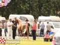 20120803boerendagrijsbergen234