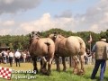 20120803boerendagrijsbergen240