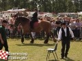 20120803boerendagrijsbergen254