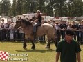 20120803boerendagrijsbergen255