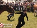 20120803boerendagrijsbergen261