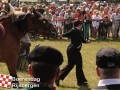 20120803boerendagrijsbergen263