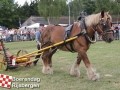 201307803boerendagrijsbergen121