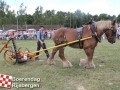 201307803boerendagrijsbergen122