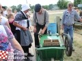 201307803boerendagrijsbergen274