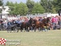 201307803boerendagrijsbergen279