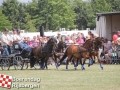 201307803boerendagrijsbergen280