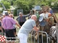 201307803boerendagrijsbergen282