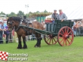 20140802boerendagrijsbergen174