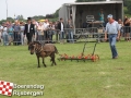 20140802boerendagrijsbergen186