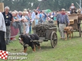 20140802boerendagrijsbergen220