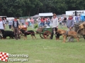 20140802boerendagrijsbergen345