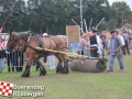 20140802boerendagrijsbergen347