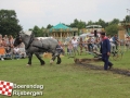 20140802boerendagrijsbergen348