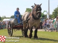 20150801boerendagrijsbergen122