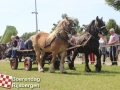 20150801boerendagrijsbergen132