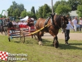 20150801boerendagrijsbergen144