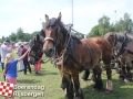 20150801boerendagrijsbergen199