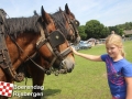 20150801boerendagrijsbergen201