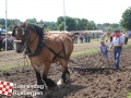 20150801boerendagrijsbergen272