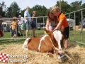 20150801boerendagrijsbergen287