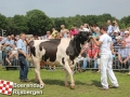 20150801boerendagrijsbergen338