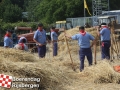 20150801boerendagrijsbergen372