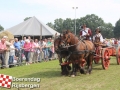 20150801boerendagrijsbergen387