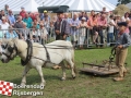 20150801boerendagrijsbergen406