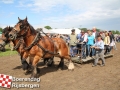 20170805boerendagrijsbergen193