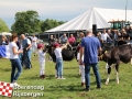 20170805boerendagrijsbergen213