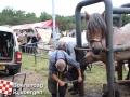 20190803boerendagrijsbergen132