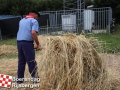 20190803boerendagrijsbergen157