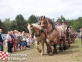 20190803boerendagrijsbergen182