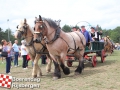 20190803boerendagrijsbergen183